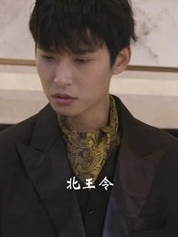 第8集 - 護國龍帥