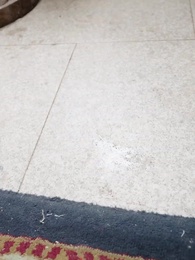 La Ira de Leonora - Episode 5