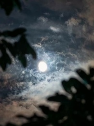 La Invisible y los Alfas - Episode 8