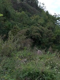 仙武帝尊 - Episode 78