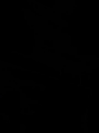 Episodio 26 - La Invisible y los Alfas