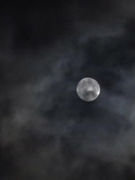 第80集 - 醫武狂婿