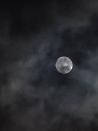 醫武狂婿 - Episode 81