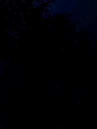 Épisode 48 - Mon Alpha prédestiné