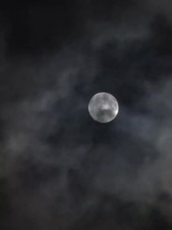 醫武狂婿 - Episode 70