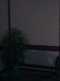 第51集 - 大唐逍遙駙馬爺