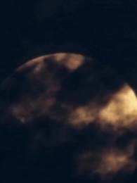 第82集 - 醫武狂婿