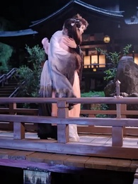 第66集 - 小師妹，我們真的捲不動了