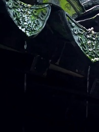 第51集 - 醫武狂婿