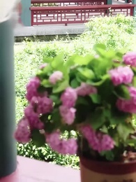 말해줘요, 왕야 - Episode 23