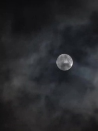 第83集 - 醫武狂婿