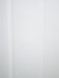 Épisode 38 - Oméga : La Reine Traquée