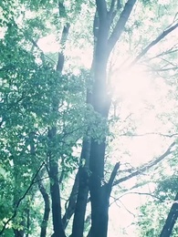 逆天神瞳 - Episode 89