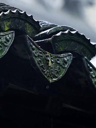 第26集 - 醫武狂婿