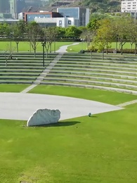 第72集 - 醫武狂婿