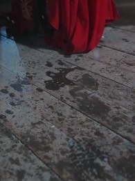 南風知君意，吹夢藕花洲 - Episode 1