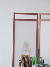 第21集 - 至尊棄婿