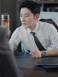 スピード婚の後、夫の秘密が隠しきれない - Episode 95