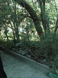 Desejo Proibido: Minha Stripper Destinada - Episode 59