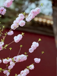 太陽と月を手に星を掴む - Episode 7