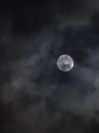 醫武狂婿 - Episode 85