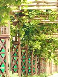 ¡Mamá, necesitamos a papá! - Episode 58