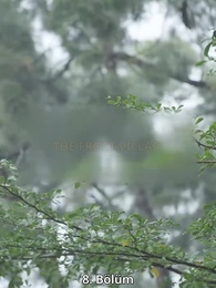 Lüks Aileler: Aşk ve İntikam - Episode 8