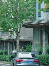 至尊棄婿 - Episode 86