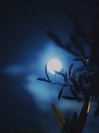 Herr über Sonne, Mond und Sterne - Episode 38