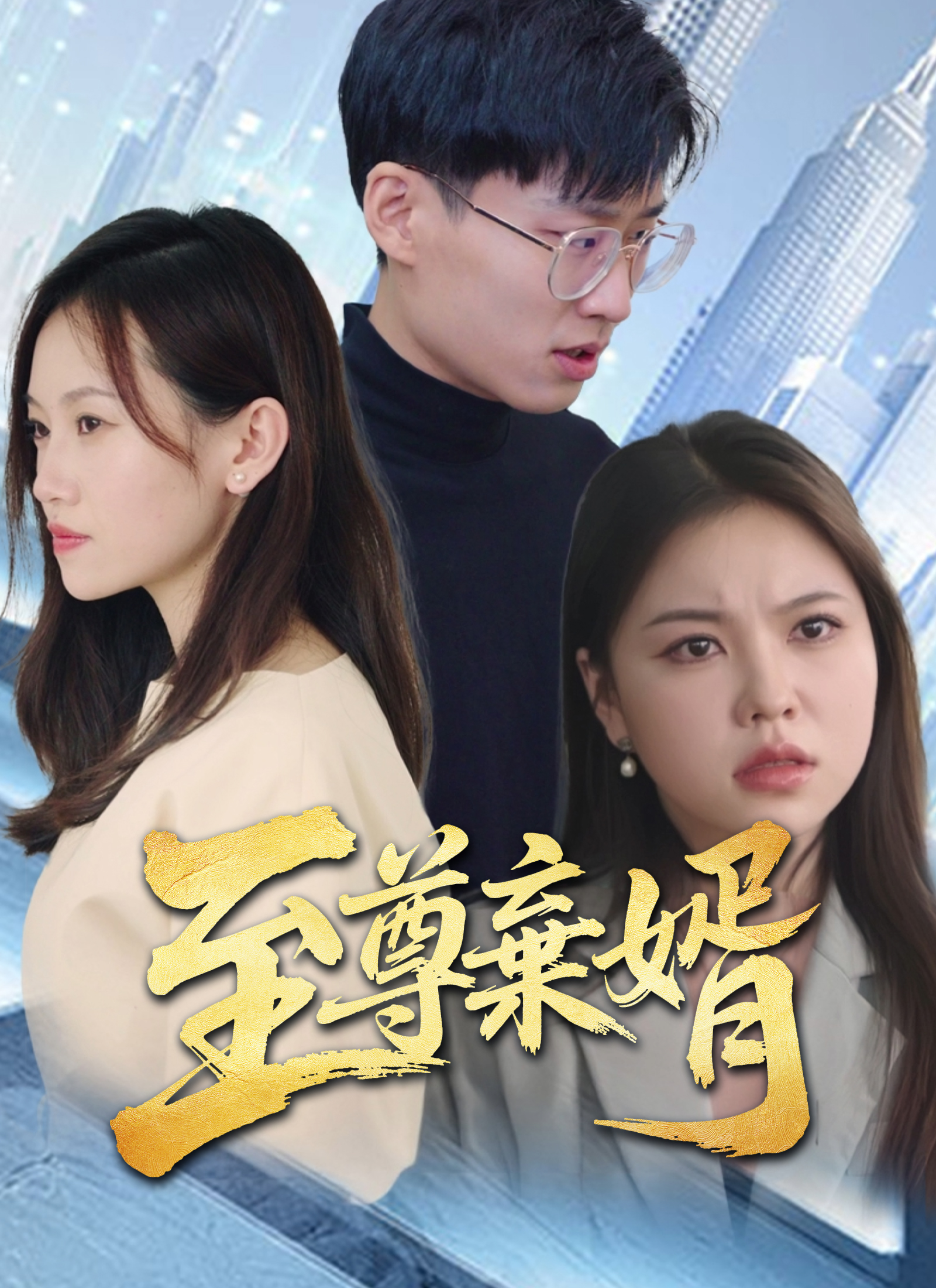 《至尊棄婿》封面