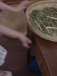 Clever Twins, Family Bonds - Episode 5