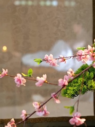 陛下がお喜びです - Episode 58