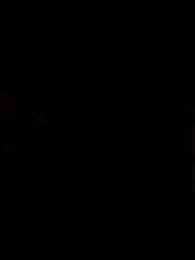 Bölüm 13 - Yanlış Mafyaya Bağlı