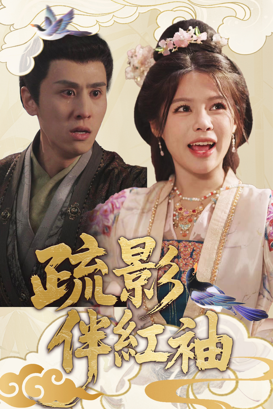 《疏影伴紅袖》封面