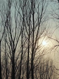 第71集 - 護國龍婿