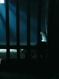 長公主 - Episode 19