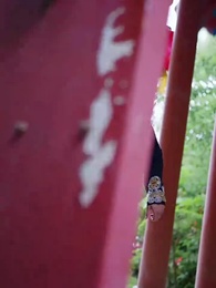 Episodio 10 - Cuando la Bella Manda