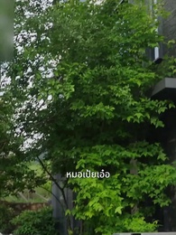 ตอนที่ 27 - [พากย์ไทย]หากรักลึกเกินจะเอ่ย