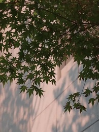 天才神醫在都市 - Episode 51