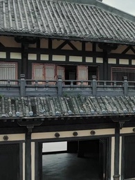 第31集 - 殘王寵妃