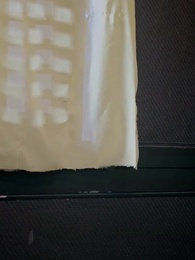 第38集 - 疏影伴紅袖