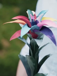 第17集 - 癡情花