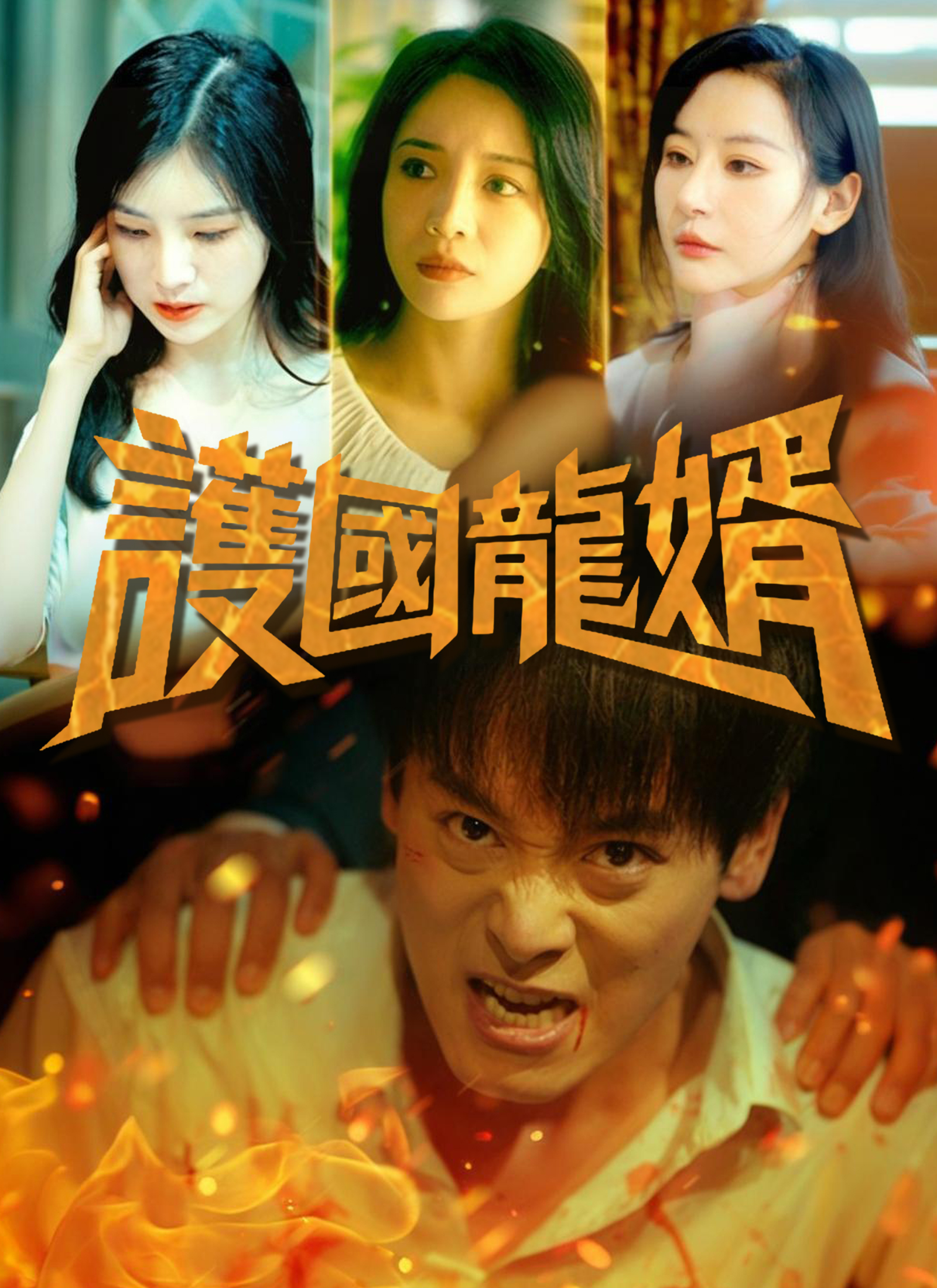 《護國龍婿》封面
