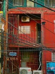 1화 - 고난 속에 피는 꽃