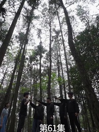 第61集 - 廢材少爺之權傾天下