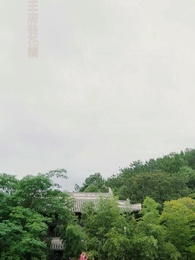 第20集 - 殘王寵妃