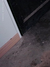 紅蓋掩我狀元夢 - Episode 9