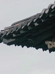 第4集 - 殘王寵妃