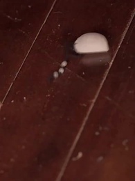 Episodio 6 - Cuando Ella Volvió al Palacio