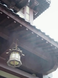 第63集 - 肥妻翻身，小綠茶買一送一